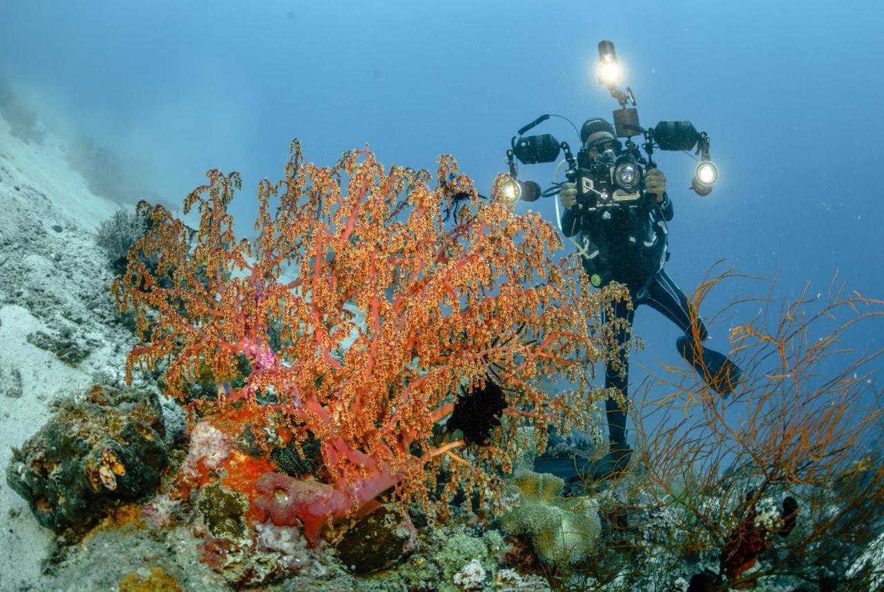The Three P Beach Resort & Dive Center Agnay 外观 照片